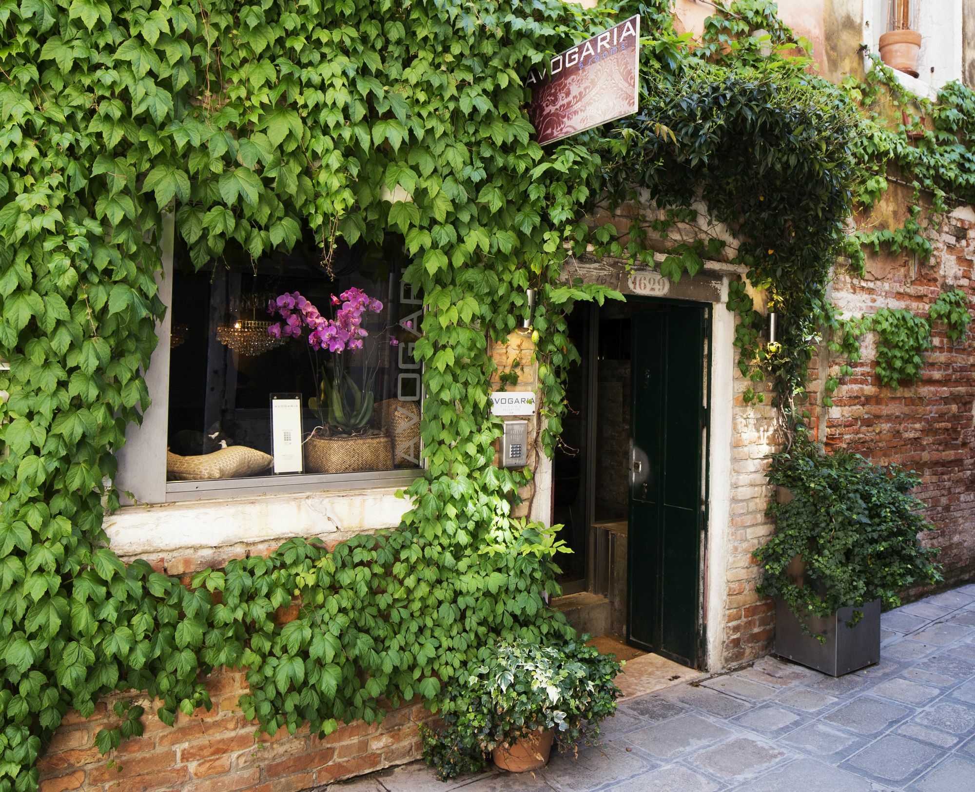 Avogaria 5 Rooms Venedig Eksteriør billede
