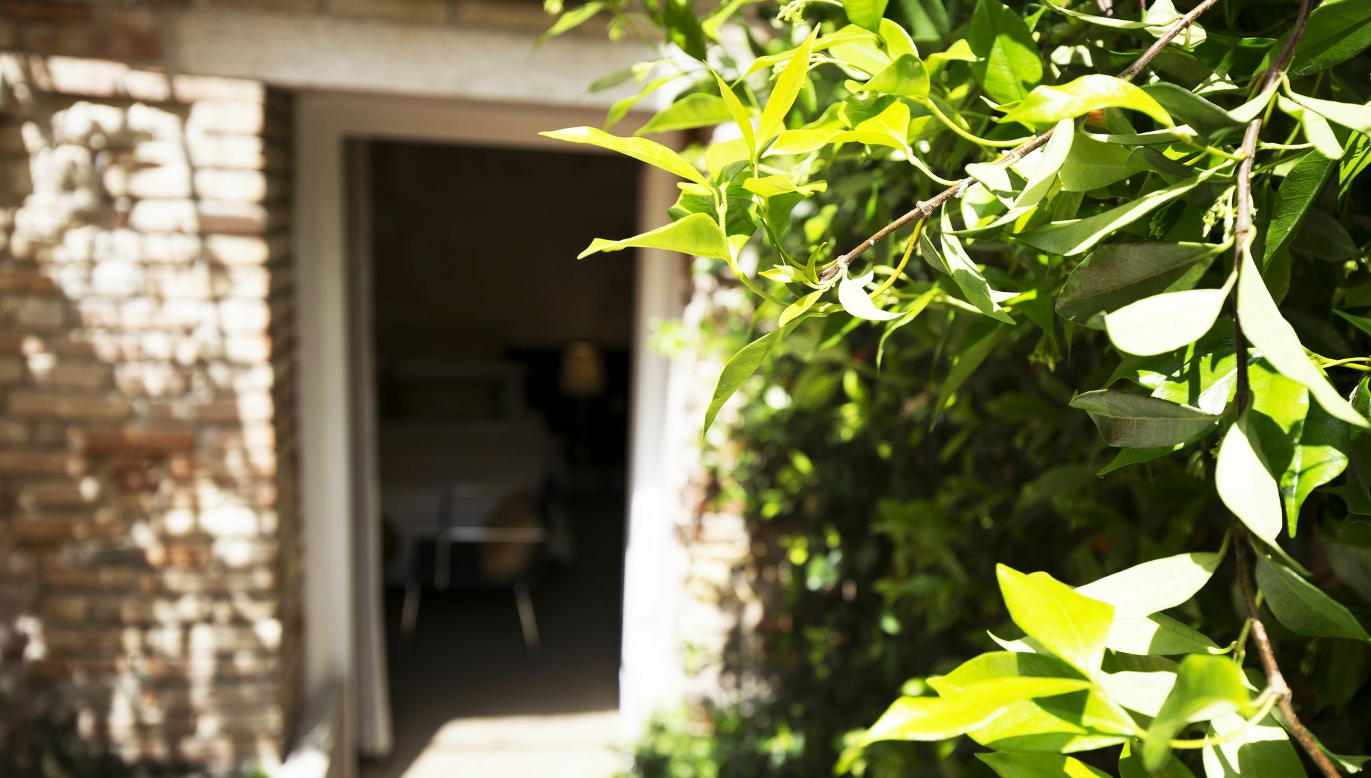 Avogaria 5 Rooms Venedig Eksteriør billede